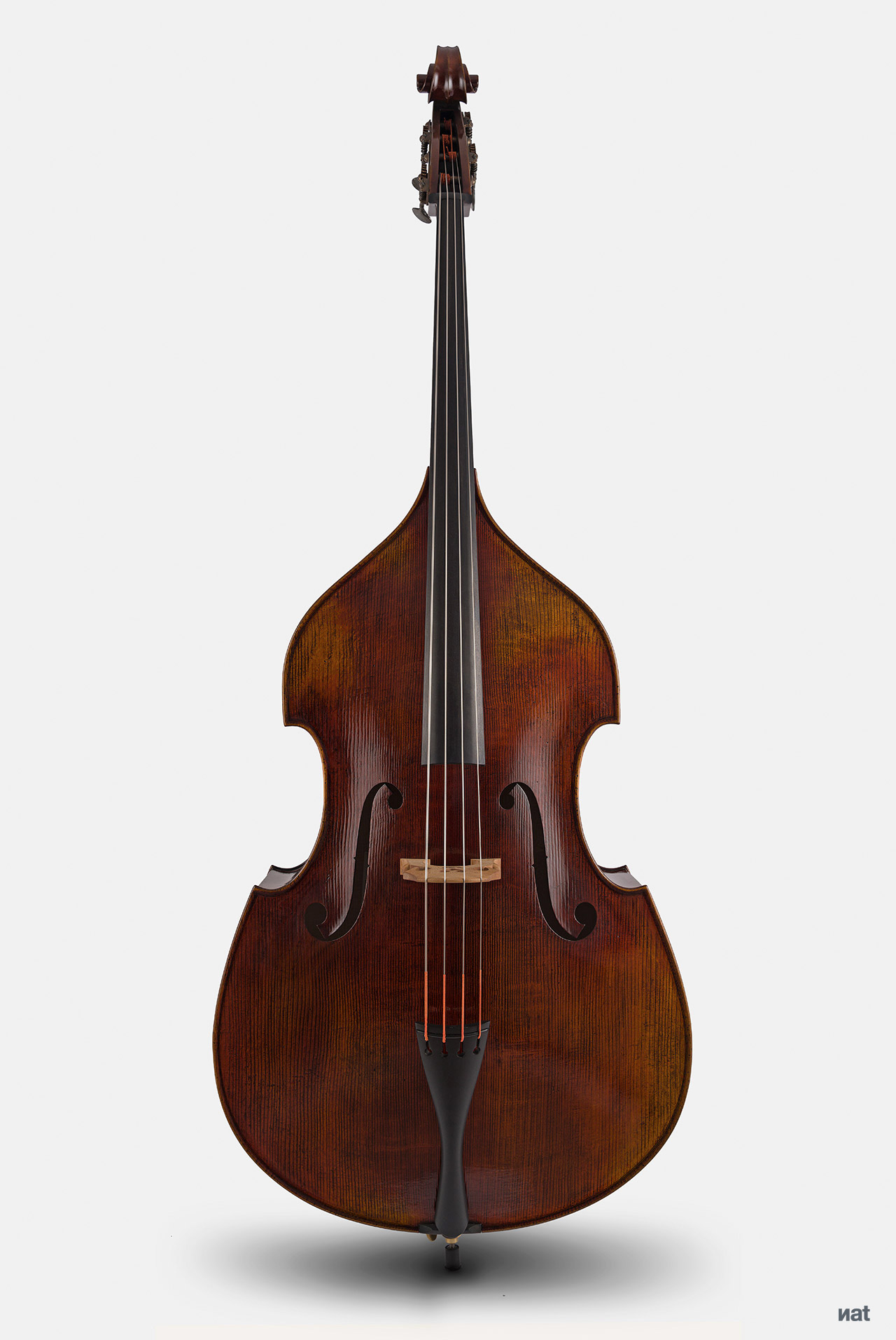 Violoncello