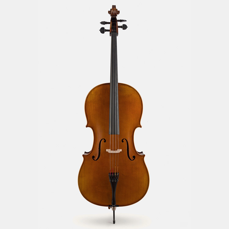 Violoncello.