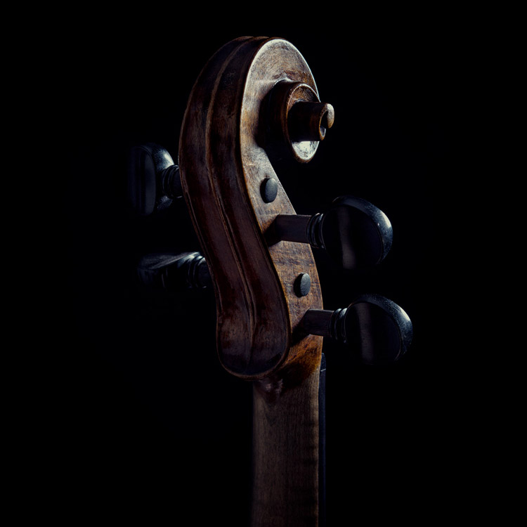 Detalle de la voluta de un violín.