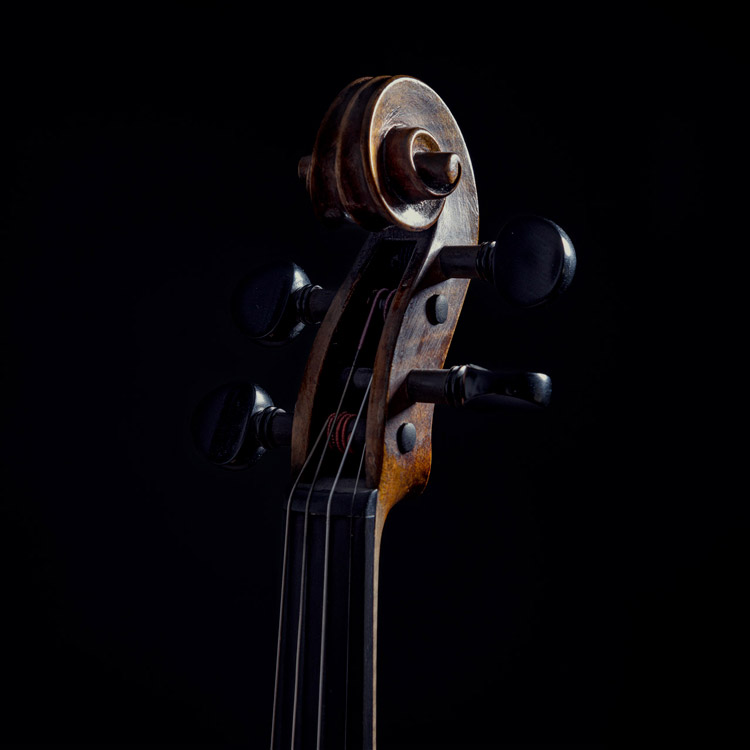 Detalle de la voluta de un violín.