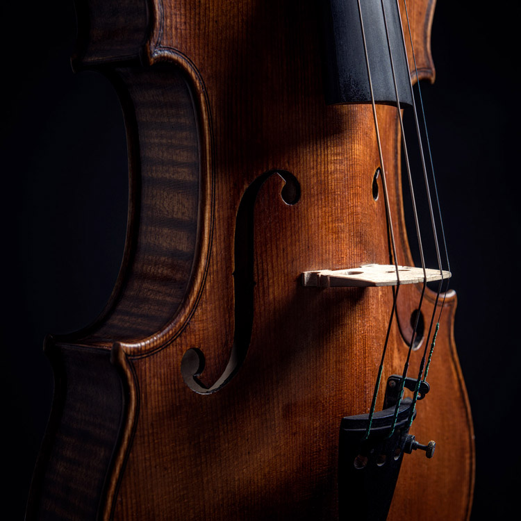 Detalle de un violín.