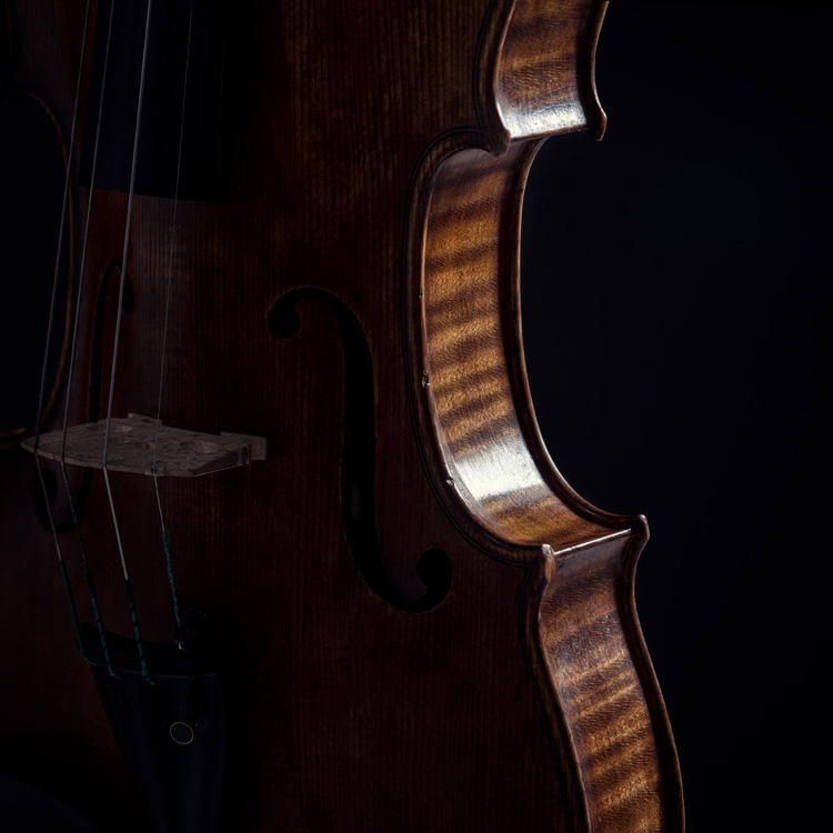 Detalle de un violín.