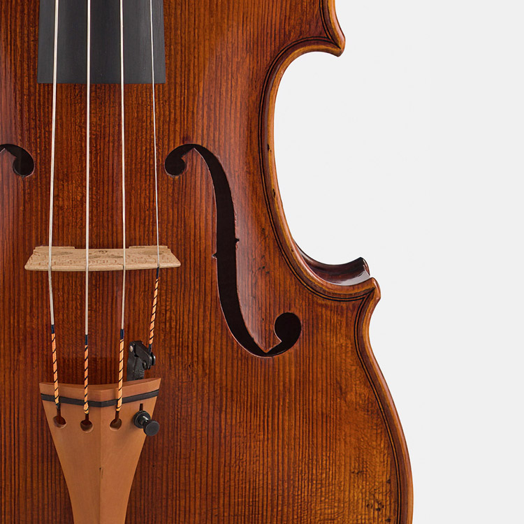 Detalle de violín.