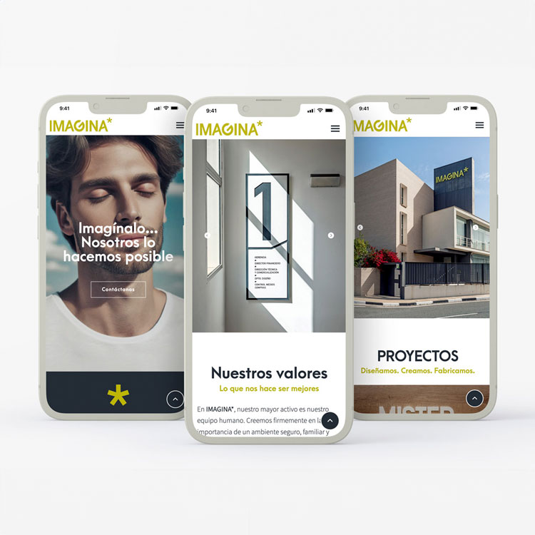 Proyecto de comunicación web realizado para Imagina.