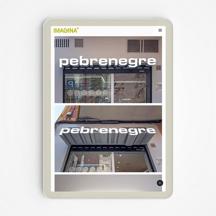 Proyecto de comunicación web realizado para Imagina.