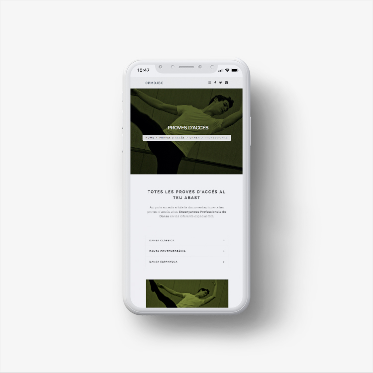 Web Centro Profesional de Música y Danza Joan Bta. Cabanilles.