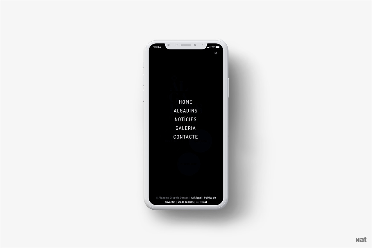 Proyecto de comunicación web desarrollado por Nat Estudi para Algadins Grup de Danses.
