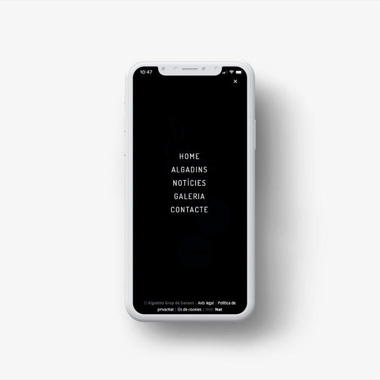 Proyecto de comunicación web para Algadins Grup de Danses.