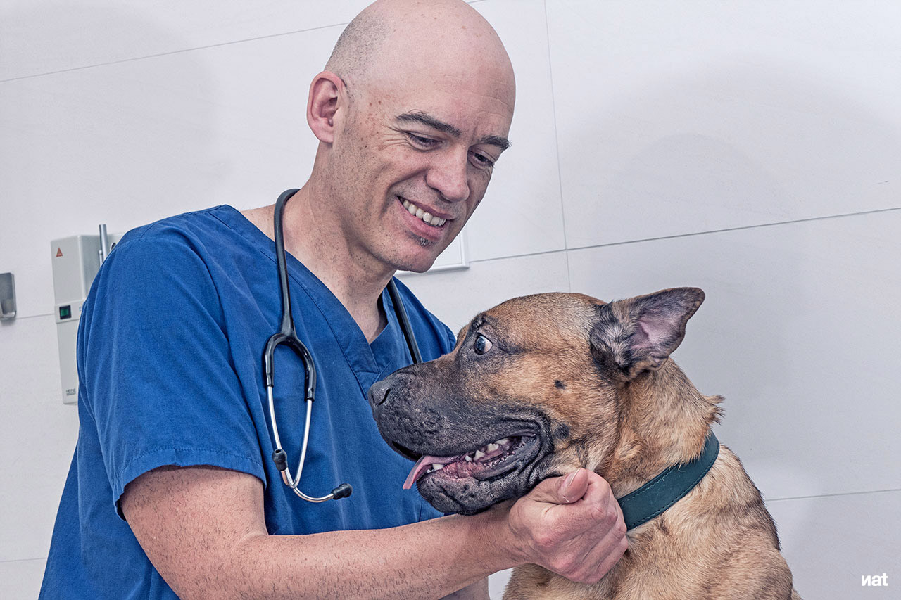 Fotografía documental para la clínica veterinaria Ordás Veterinaris. Fotografía de Nat Estudi.