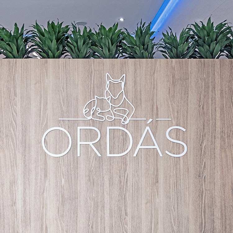 Fotografía documental para la clínica veterinaria Ordás Veterinaris. Fotografía de Nat Estudi.