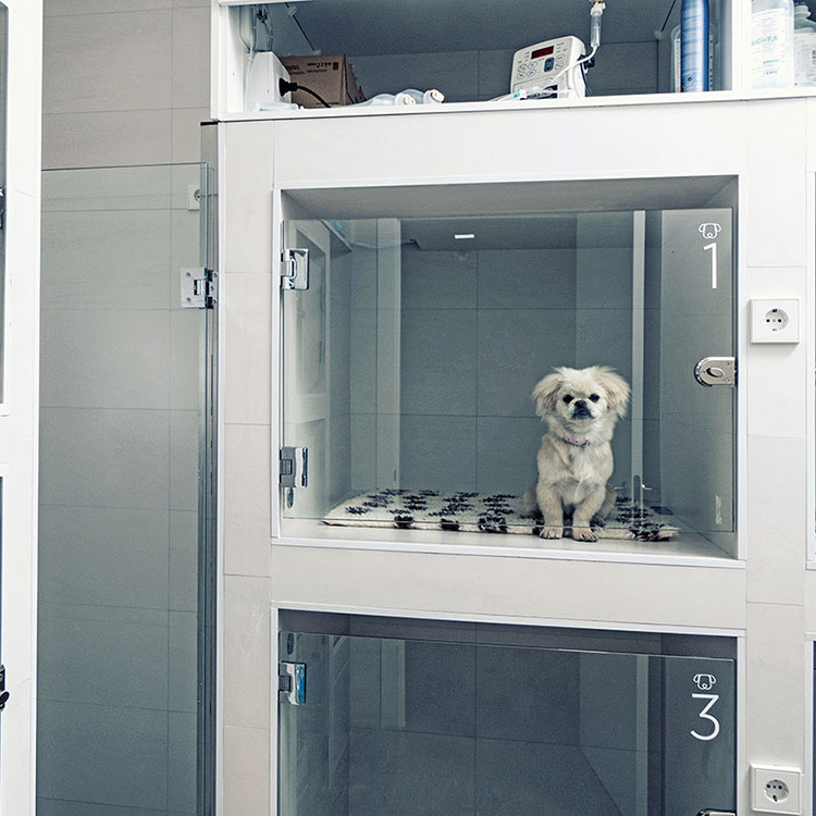 Fotografía documental para la clínica veterinaria Ordás Veterinaris. Fotografía de Nat Estudi.