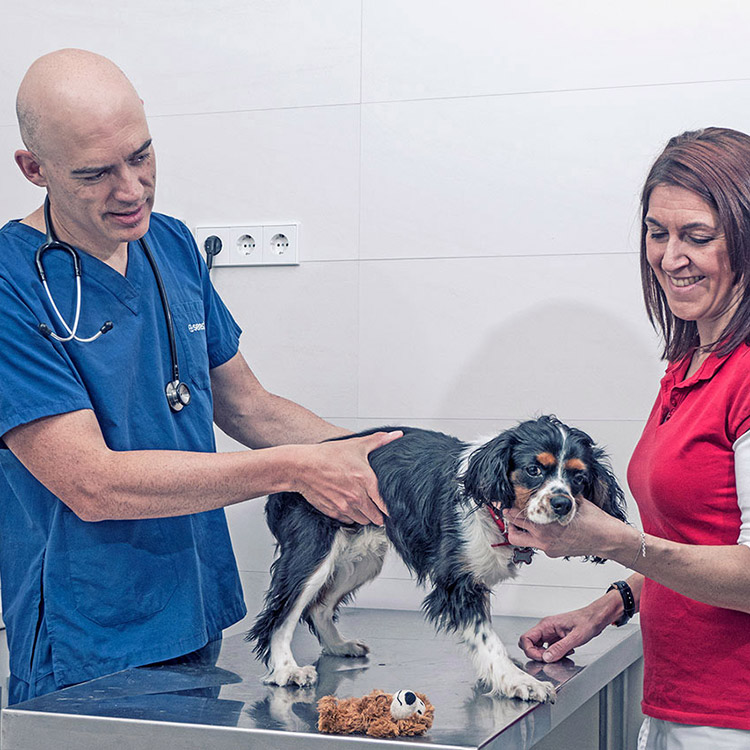 Fotografía documental para la clínica veterinaria Ordás Veterinaris. Fotografía de Nat Estudi.