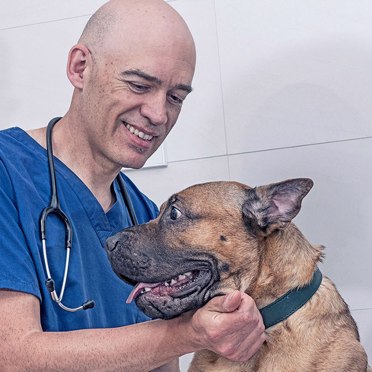 Fotografía documental para la clínica veterinaria Ordás Veterinaris. Fotografía de Nat Estudi.