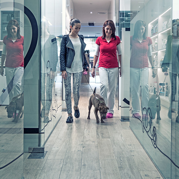 Fotografía documental para la clínica veterinaria Ordás Veterinaris. Fotografía de Nat Estudi.