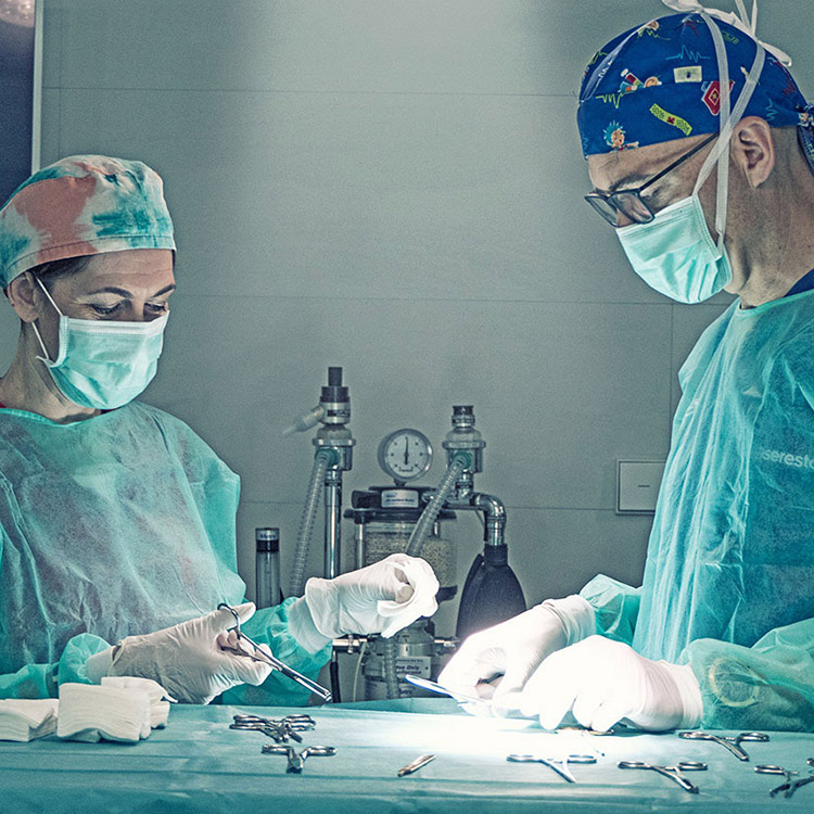 Fotografía documental para la clínica veterinaria Ordás Veterinaris. Fotografía de Nat Estudi.