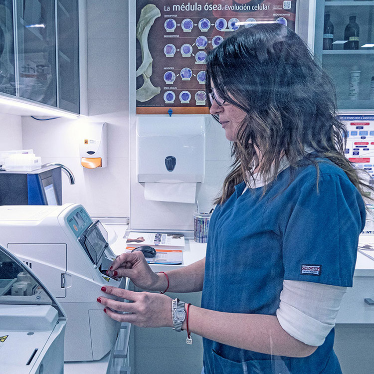 Fotografía documental para la clínica veterinaria Ordás Veterinaris. Fotografía de Nat Estudi.