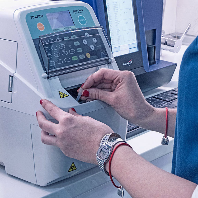 Fotografía documental para la clínica veterinaria Ordás Veterinaris. Fotografía de Nat Estudi.