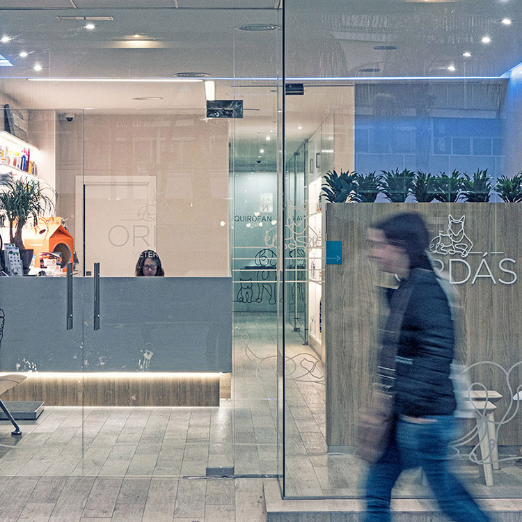 Fotografía documental para la clínica veterinaria Ordás Veterinaris. Fotografía de Nat Estudi.