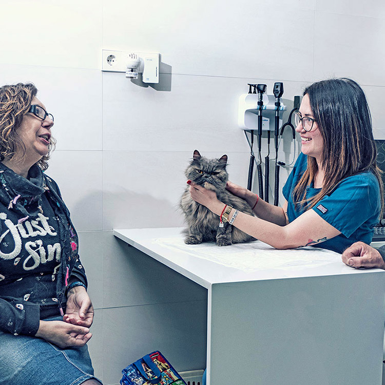 Fotografía documental para la clínica veterinaria Ordás Veterinaris. Fotografía de Nat Estudi.