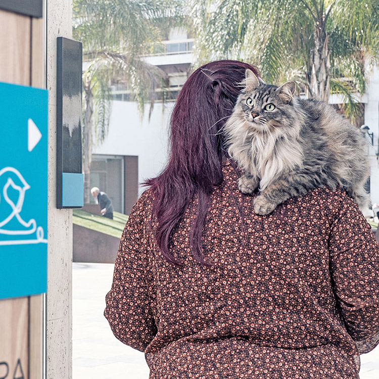 Fotografía documental para la clínica veterinaria Ordás Veterinaris. Fotografía de Nat Estudi.