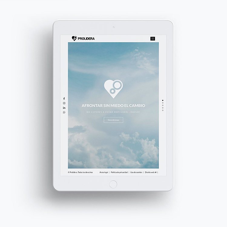 Proyecto de comunicación web para la marca Prolidera.