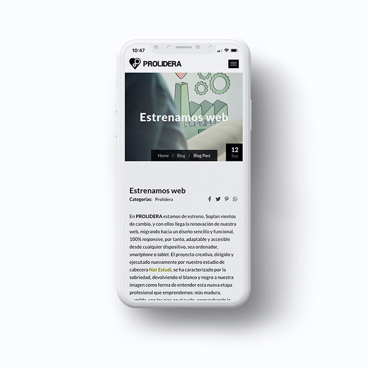 Proyecto de comunicación web para la marca Prolidera.
