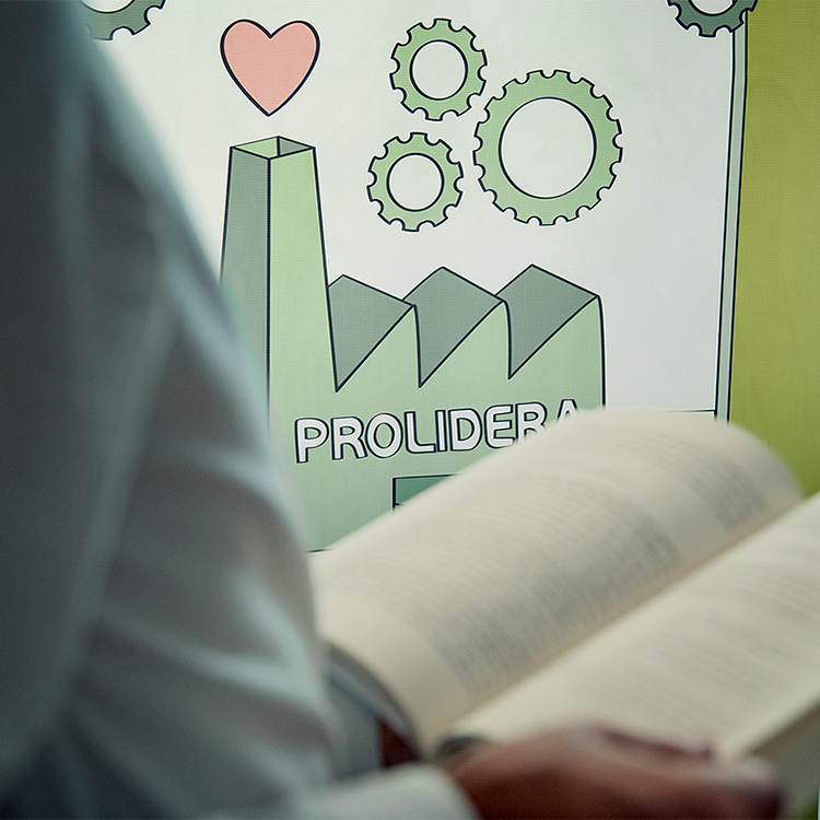 Proyecto de comunicación web para la marca Prolidera.