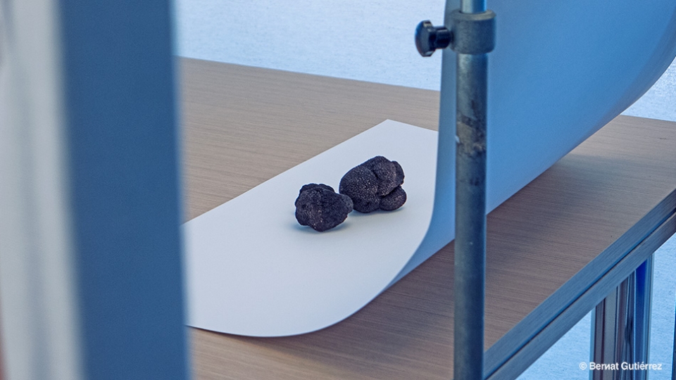 Fotografia de producte per a Fruits de la Terra