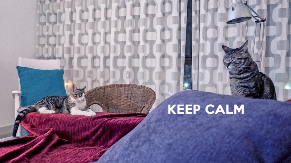Keep Calm